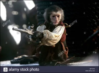 Combien de fois Jack tire-t-il sur ''Jack le singe'' tous films confondus ?
