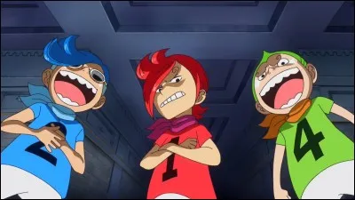 Il n'y a rien de plus beau que l'amour fraternel. Qui sont les deux frères de Luffy ?