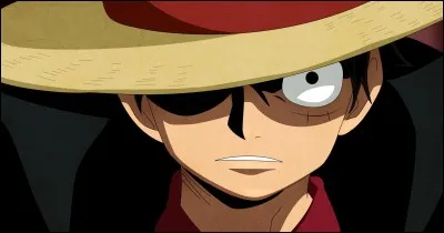 Il n'y a rien de plus mystérieux que de ne pas connaître le vrai nom de quelqu'un... Quel est le nom complet de Luffy ?