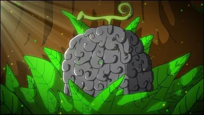 C'est trop bon les fruits ! En parlant de ça, quel est le nom de son fruit du démon ?