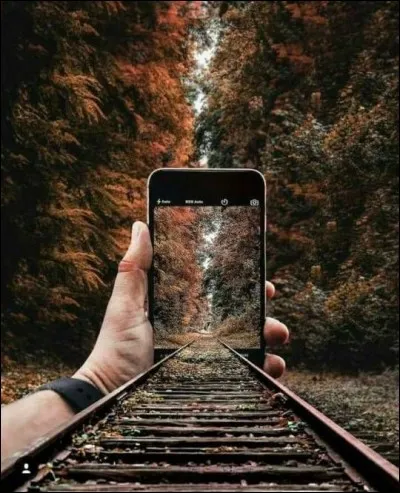 Combien de personnes (à peu près) trouvent la mort en faisant un selfie, chaque année dans le monde ?