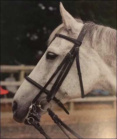 Coche les mors existants.