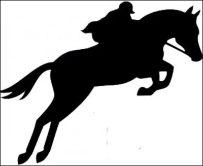 Obstacle : qu'est-ce qu'un spa ?