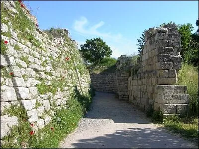Au début de l'opéra, pourquoi le peuple de Troie se réjouit-il ?