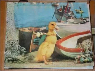 Télévision > Et nous v'là reparti dans la nostalgie des 60's, et Tant pis pour les jeunes tendrons : comment s'appelait ce caneton ?