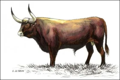 Spécial cruciverbistes > Trouvez le mot correspondant à la définition « vieille carne », en seulement 3 lettres !