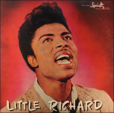 A-t-on déjà vu Little Richard dans un film ?