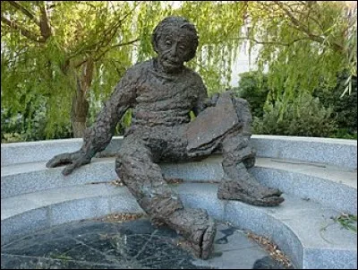 Comment &eacute;tait le cerveau de ce g&eacute;nie ?