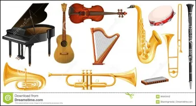 Ton instrument préféré :
