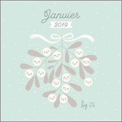 Quel est le signe astrologique d'une personne née le 1er janvier ?