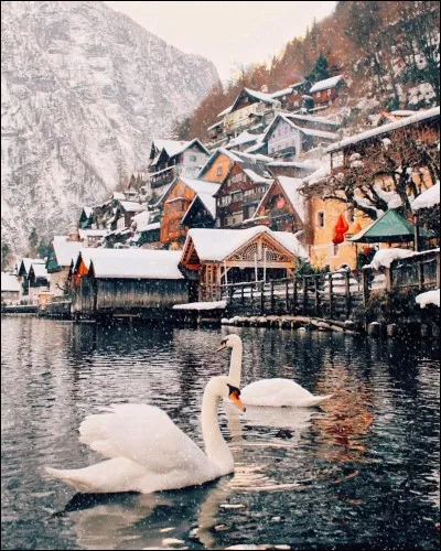 La compagnie propose 171 destinations.