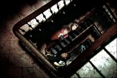 Dans lequel de ces films raliss faon 'reportage' y a-t-il le plus de cameras?