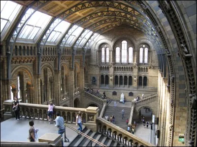 Dans quelle maison vas-tu ?