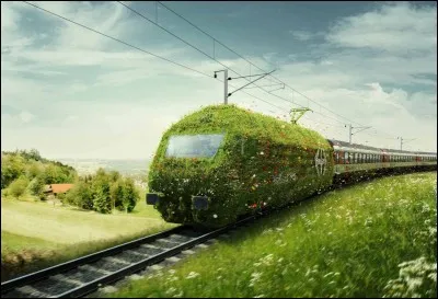 Ta couleur préférée est le...