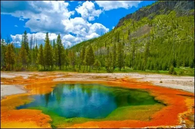 Dans quel État le parc national de Yellowstone se trouve-t-il principalement ?
