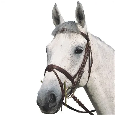 À l'issue d'un doubler...