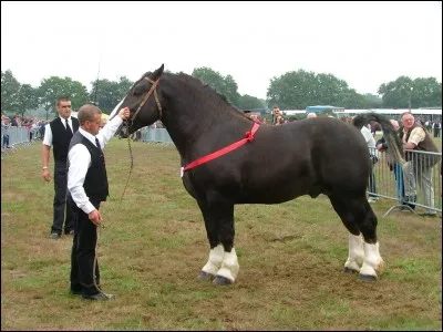 Tous les clubs proposent des sorties en compétition.