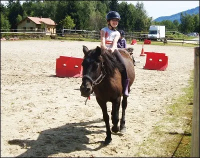 Un petit cercle s'appelle un volte.