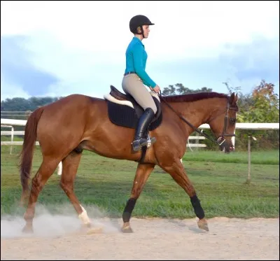 Une diagonale commence...