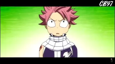 Quel &acirc;ge a Natsu en r&eacute;alit&eacute; ?