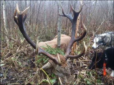 Se fait assis, c'est le...