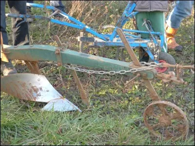 Avoué au tribunal, c'est l'...