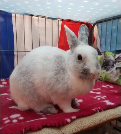 Comment organiseriez-vous son habitat ?