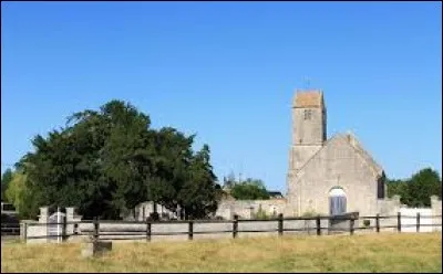 Vous avez sur cette image l'église Saint-Vaast et l'if centenaire de Poussy-la-Campagne. Ancienne commune Calvadosienne, elle se situe en région ...