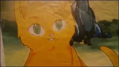 Quel est ton défaut ?