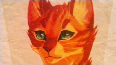 Ta fonction dans le clan est :