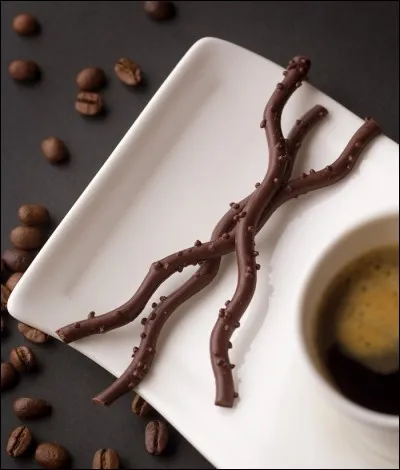 Quel nom porte ces barres de chocolat originaires de "Margaux" ?