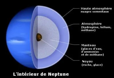Neptune est une plante ...