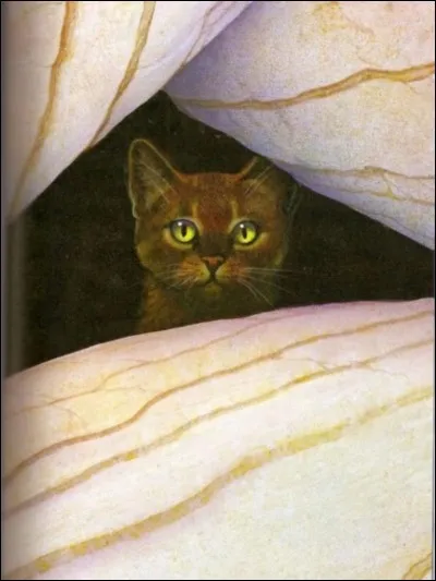 Que veut dire le nom anglais d'Étoile de Ronce ?