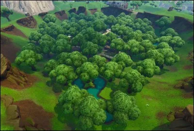 Quel est l'ancien nom de Dusty Divot ?
