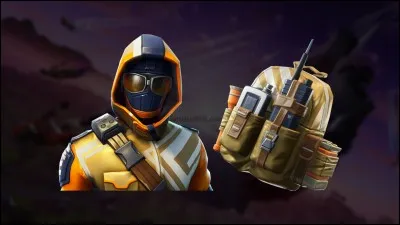 Lequel de ces skins existe ?