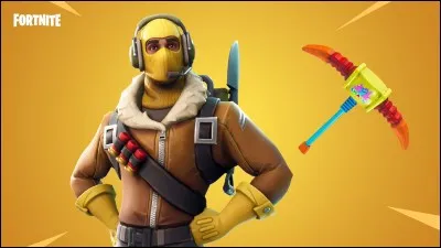 Quel est le nom de ce skin ?