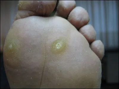 De ces trois évènements, l'un s'est produit en Asie !