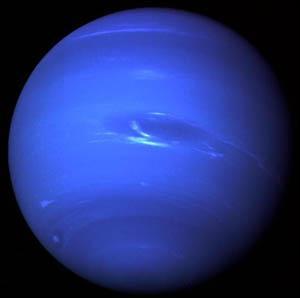 Pourquoi la plante Neptune apparat-elle bleu fonc ?