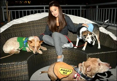 En 2015 elle a adopté 4 chiens.