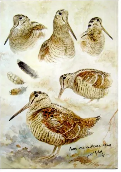 Quelle est la bonne orthographe ?