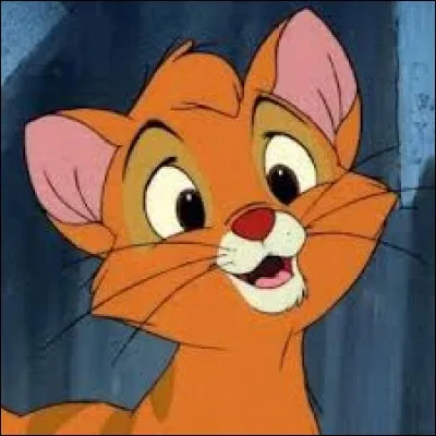 Dessins animés : Quel film Disney raconte l'histoire d'un chat qui rencontre un chien nommé Roublard ?