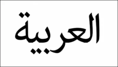 Langues étrangères : Quel mot est d'origine gauloise et non arabe ?