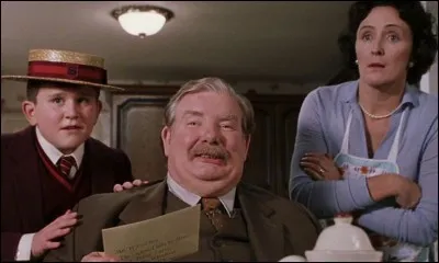Comment s'appelle le fils des Dursley ?