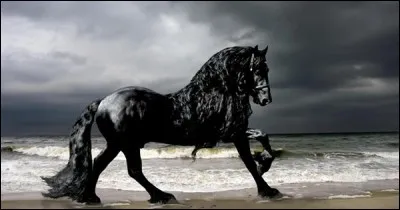 Autre expression venue du monde équin !