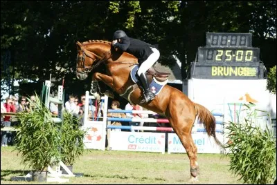 Un concours ou l'on retrouve dressage, saut d'obstacle et cross, est appelé un concours complet (CCE).