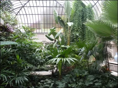 Quel est le titre de cette chanson d'Henri Salvador dont le début est : « Je voudrais du soleil vert, des dentelles et des théières, des photos de bord de mer  » ?