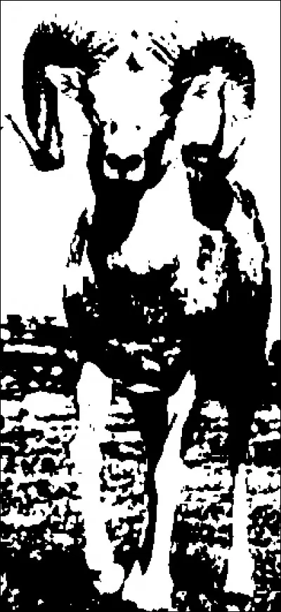 Quel est cet animal ?