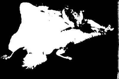 Quel est cet animal ?