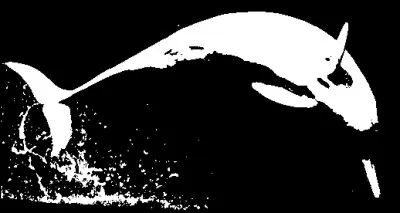 Quel est cet animal ?