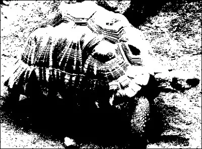 Quel est cet animal ?